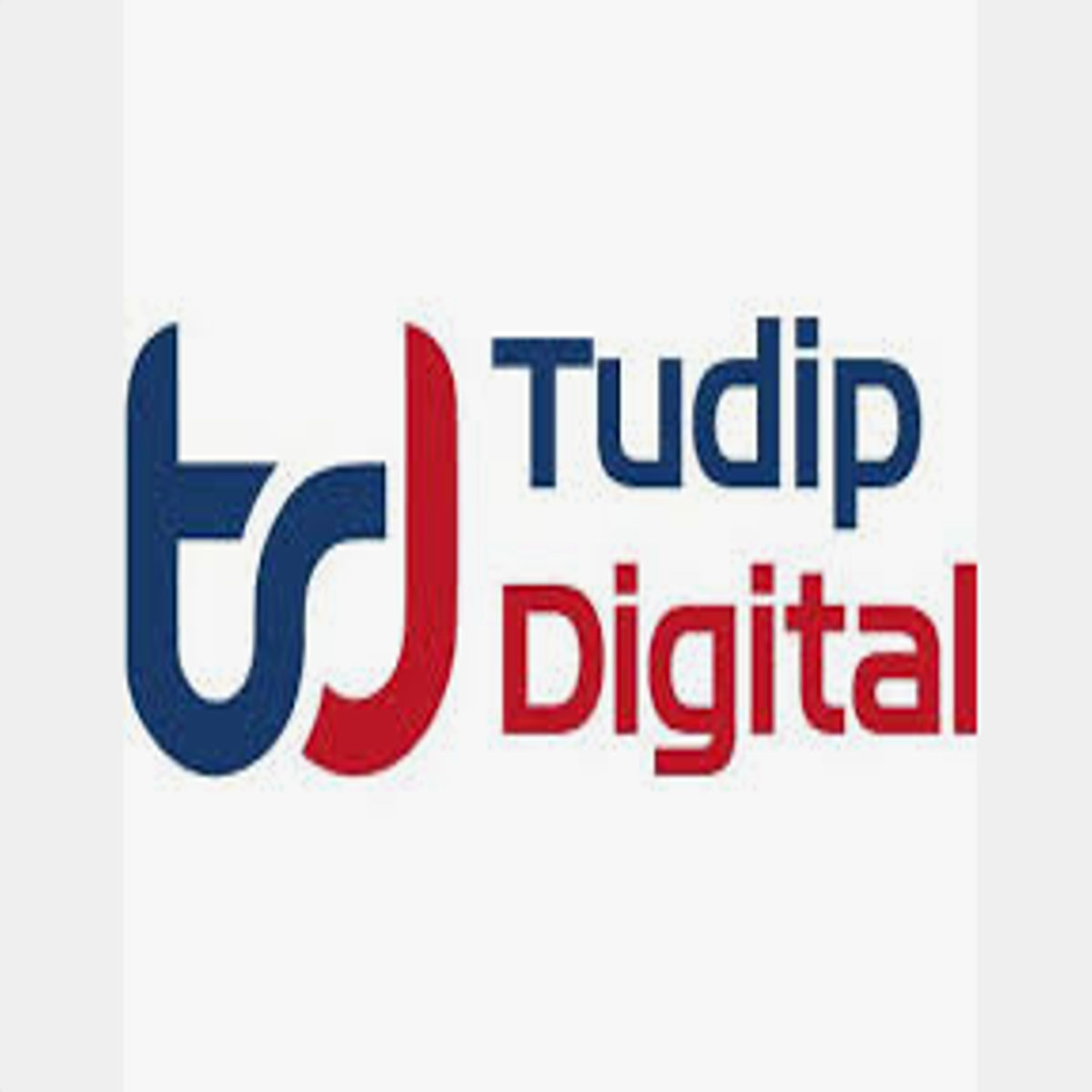 Tudip Technologies